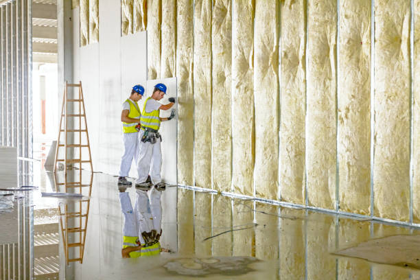 Best Geographic-Specific Insulation Services in North Yelm, WA